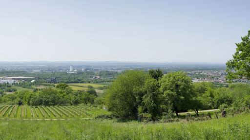 Blick vom Hügel Tüllingen nach Westen, auf die elsässische Ebene, Weil am Rhein in Deutschland, Basel in der Schweiz und Huningue in Frankreich