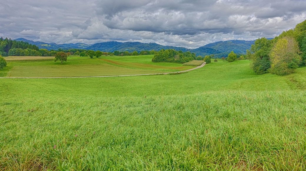 Landschaftsschutzgebiet mit weitläufigen, durch den Wechsel von Feldhecken, Feldgehölzen und eingestreuten Äckern reich strukturierten Kulturlandschaft, der Hochflächen aus zumeist mageren Weiden und Wiesen, insbesondere Trockenrasen, Glatthaferwiesen sowie Streuobstwiesen und artenreiche Tier- und Pflanzenwelt.