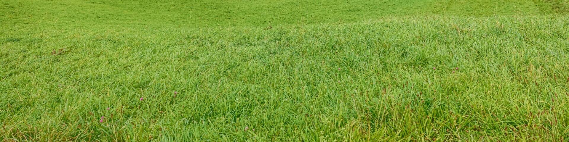 Landschaftsschutzgebiet mit weitlĂ€ufigen, durch den Wechsel von Feldhecken, Feldgehölzen und eingestreuten Ăckern reich strukturierten Kulturlandschaft, der HochflĂ€chen aus zumeist mageren Weiden und Wiesen, insbesondere Trockenrasen, Glatthaferwiesen sowie Streuobstwiesen und artenreiche Tier- und Pflanzenwelt.