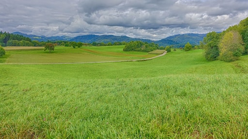 Landschaftsschutzgebiet mit weitläufigen, durch den Wechsel von Feldhecken, Feldgehölzen und eingestreuten Äckern reich strukturierten Kulturlandschaft, der Hochflächen aus zumeist mageren Weiden und Wiesen, insbesondere Trockenrasen, Glatthaferwiesen sowie Streuobstwiesen und artenreiche Tier- und Pflanzenwelt.