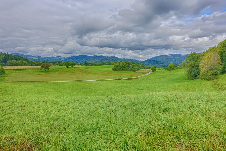 A lush green field with a winding path, rolling hills, and a cloudy sky.