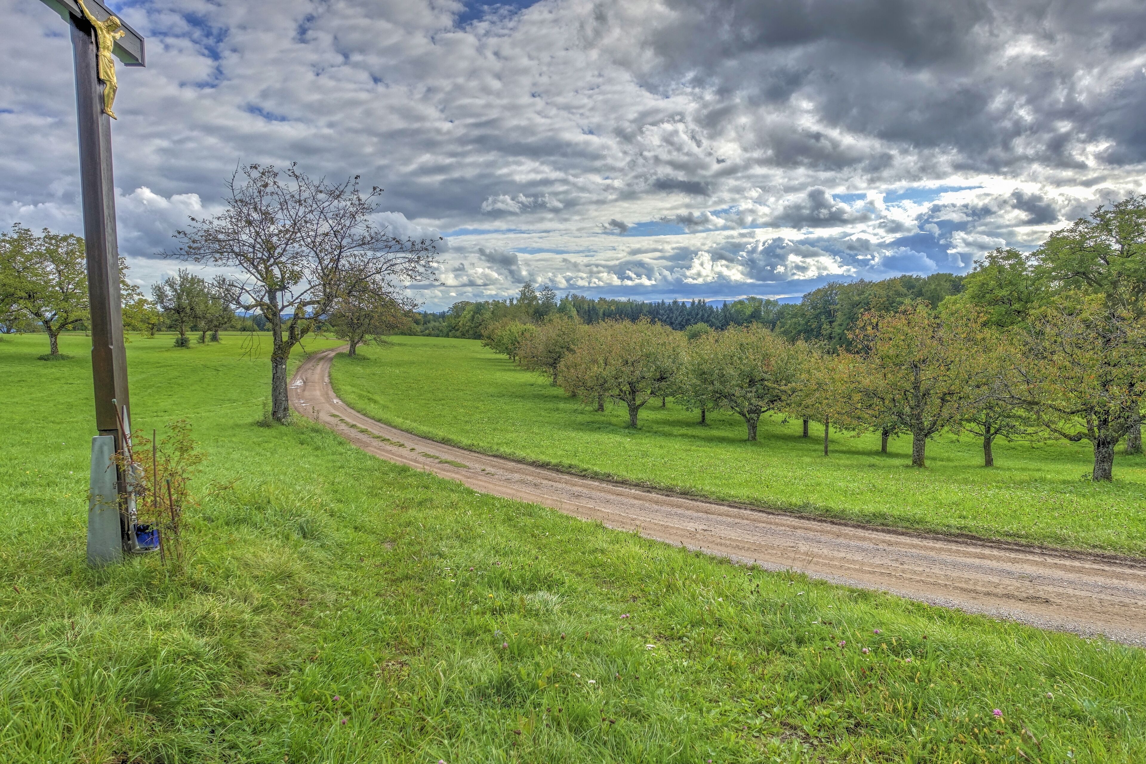 Landschaftsschutzgebiet mit weitläufigen, durch den Wechsel von Feldhecken, Feldgehölzen und eingestreuten Äckern reich strukturierten Kulturlandschaft, der Hochflächen aus zumeist mageren Weiden und Wiesen, insbesondere Trockenrasen, Glatthaferwiesen sowie Streuobstwiesen und artenreiche Tier- und Pflanzenwelt.