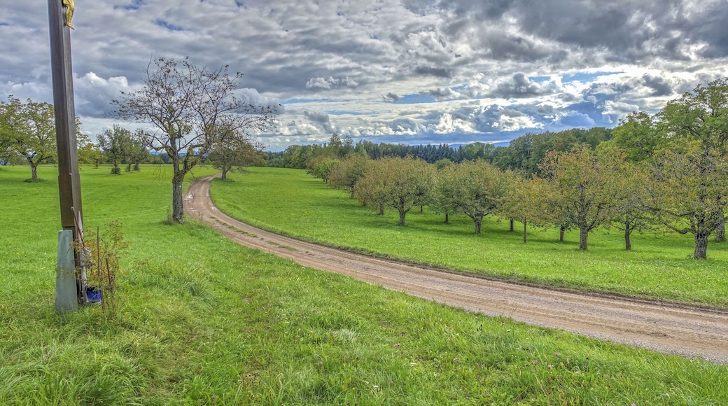 Landschaftsschutzgebiet mit weitläufigen, durch den Wechsel von Feldhecken, Feldgehölzen und eingestreuten Äckern reich strukturierten Kulturlandschaft, der Hochflächen aus zumeist mageren Weiden und Wiesen, insbesondere Trockenrasen, Glatthaferwiesen sowie Streuobstwiesen und artenreiche Tier- und Pflanzenwelt.