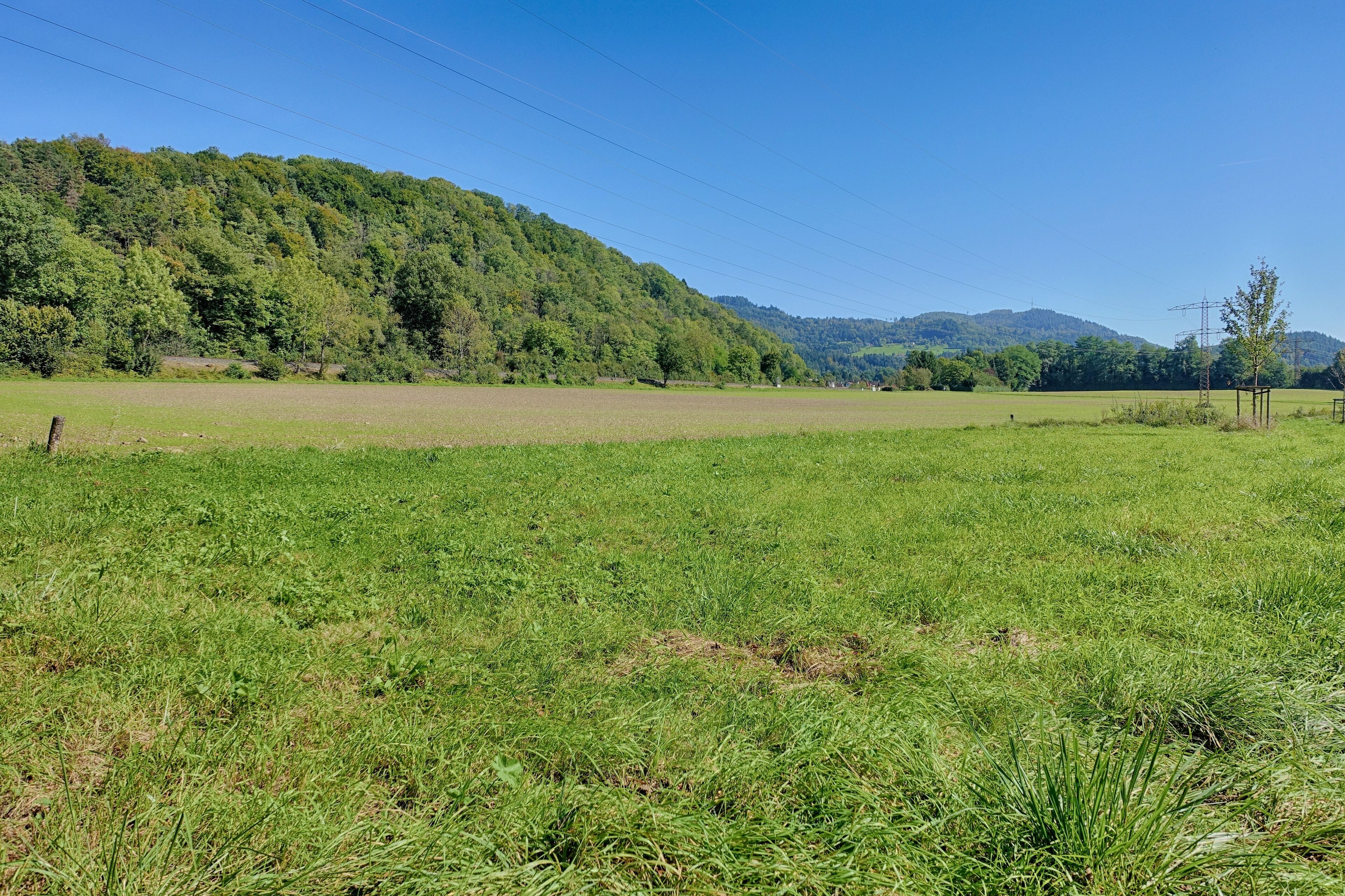 Puffer- und Ergänzungszone für das gleichnamige Naturschutzgebiet, zur Verwirklichung des Schutzzweckes des NSG und zur Sicherung vor Beeinträchtigungen, insbesondere um die Tierwelt vor Störungen durch Lärm und Unruhe zu bewahren.