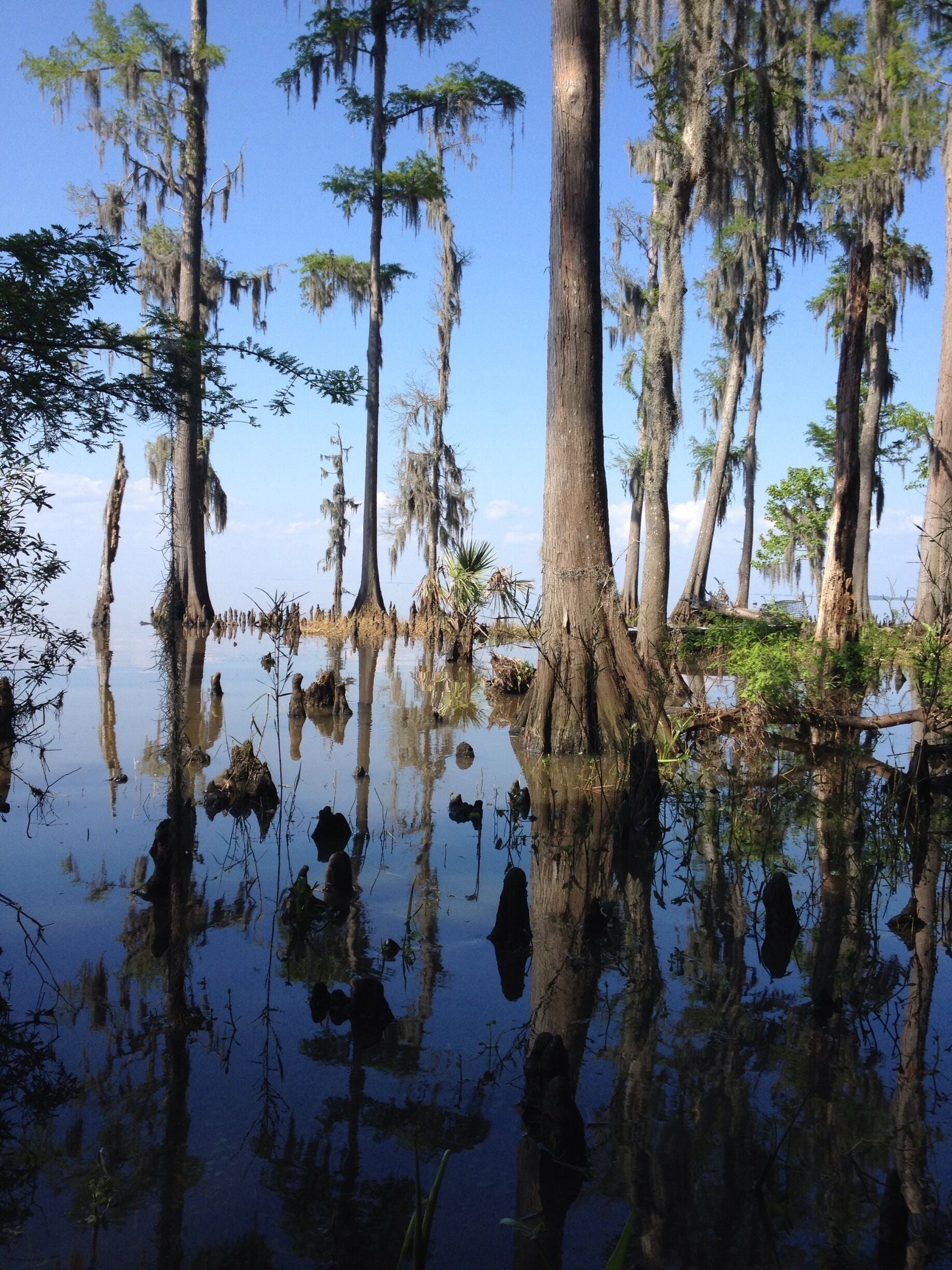 It is so beautiful out there.