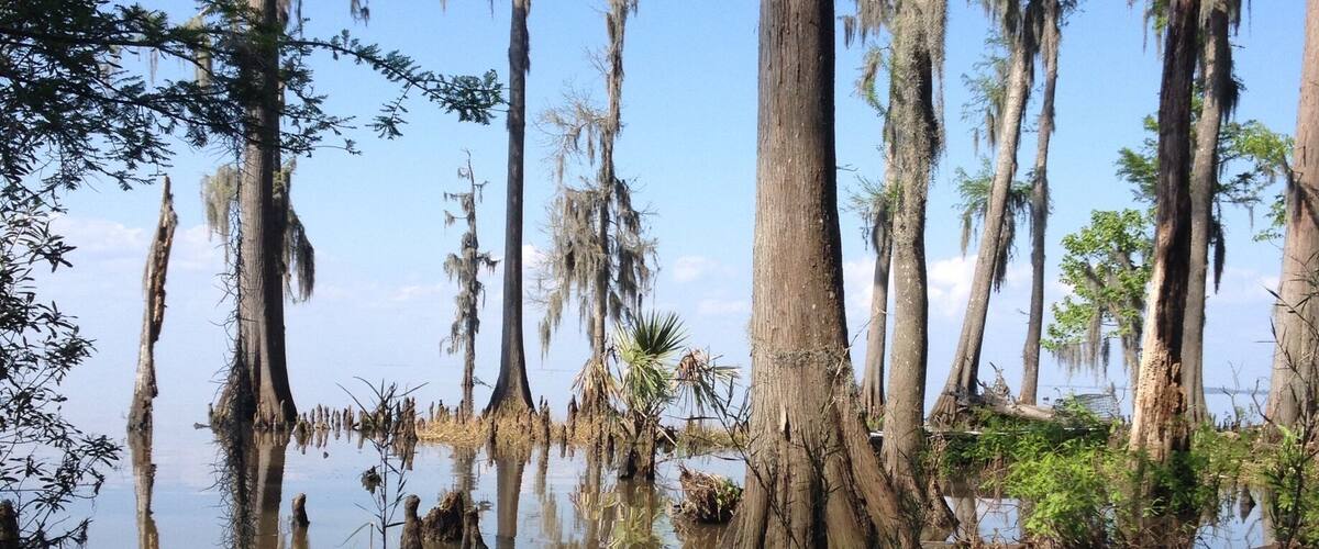 It is so beautiful out there.