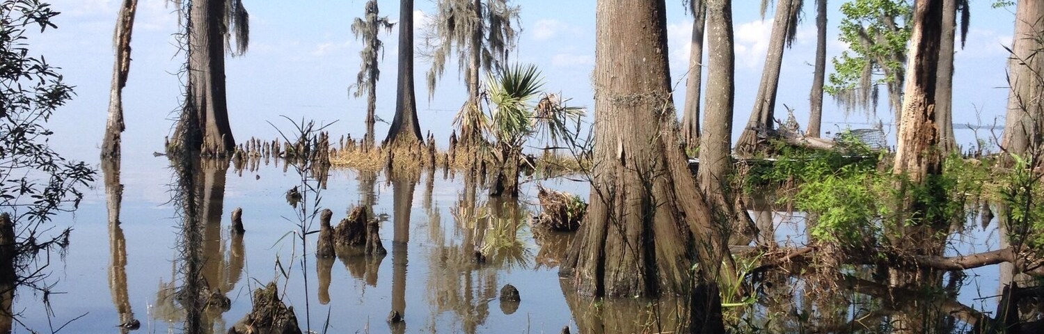 It is so beautiful out there.