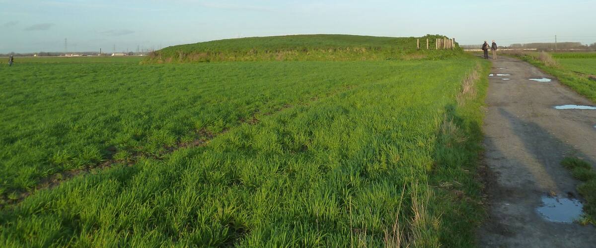 A green field with a dirt path and two people walking.