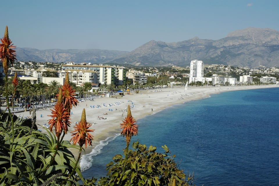 A coastal city with a beach, palm trees, and mountains in the background.