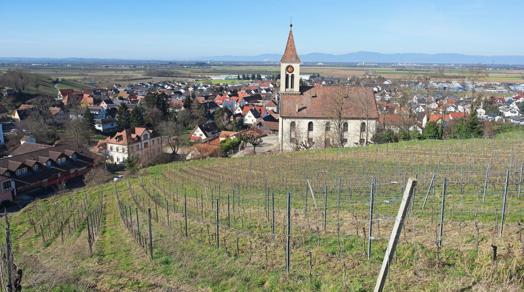 The "Evangelical Kreuz Kirche" in Auggen, the place is located in southern Germany and is known as a wine-growing region.