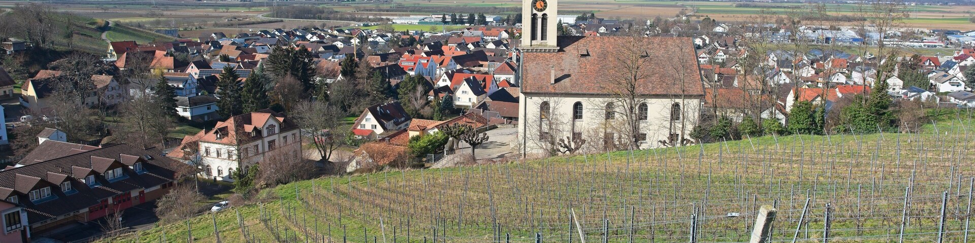 Un pueblo con una torre de iglesia destacada, viñedos y un paisaje ondulado.