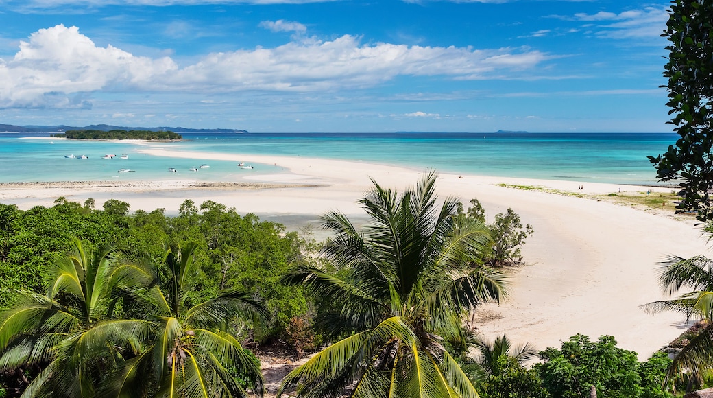 A tropical beach with clear turquoise waters, white sand, and lush green foliage.