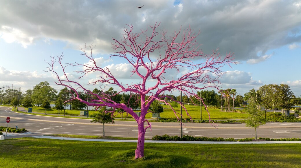 Pink tree at Lake Nona, south of Orlando, Florida.
Bird flying over tree as picture was taken. April 28,2022
