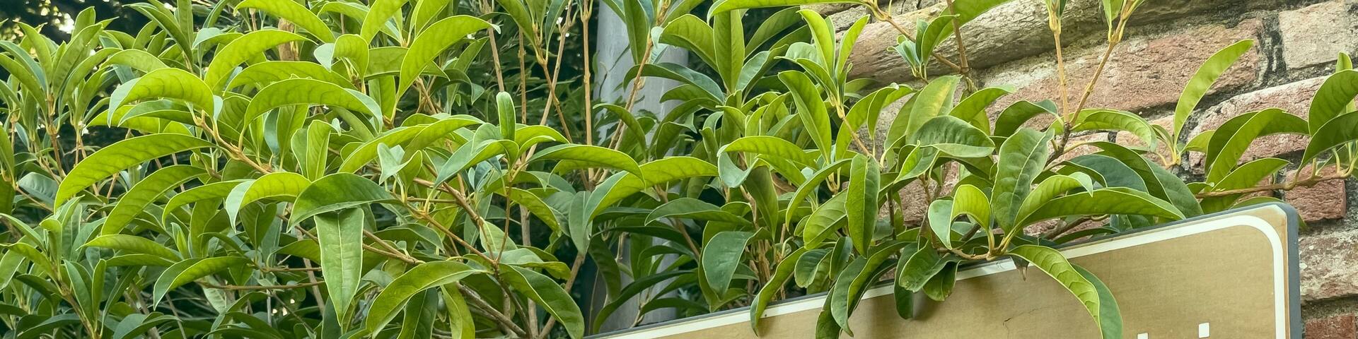 Scenic Park Ferracini Italy