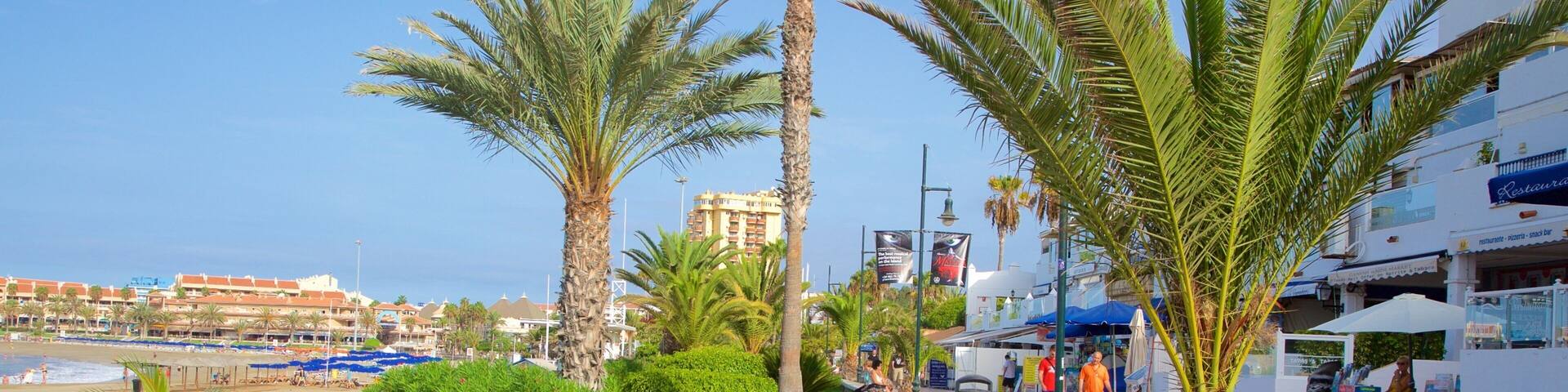 Las Vistas Beach which includes a coastal town
