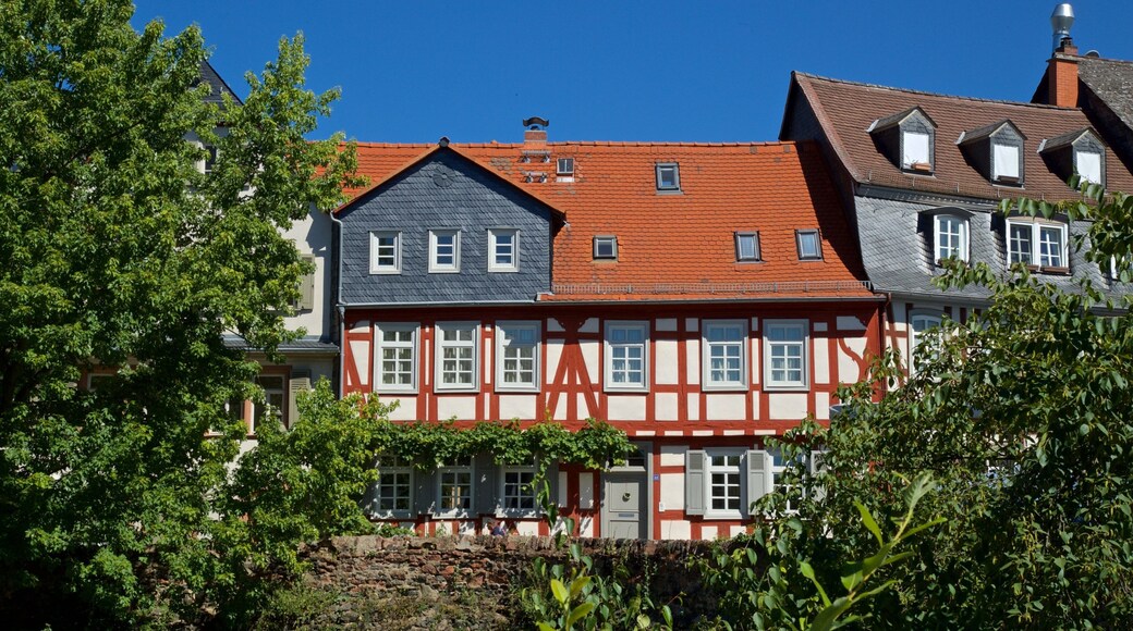 Hoechst Castle showing a house and heritage elements