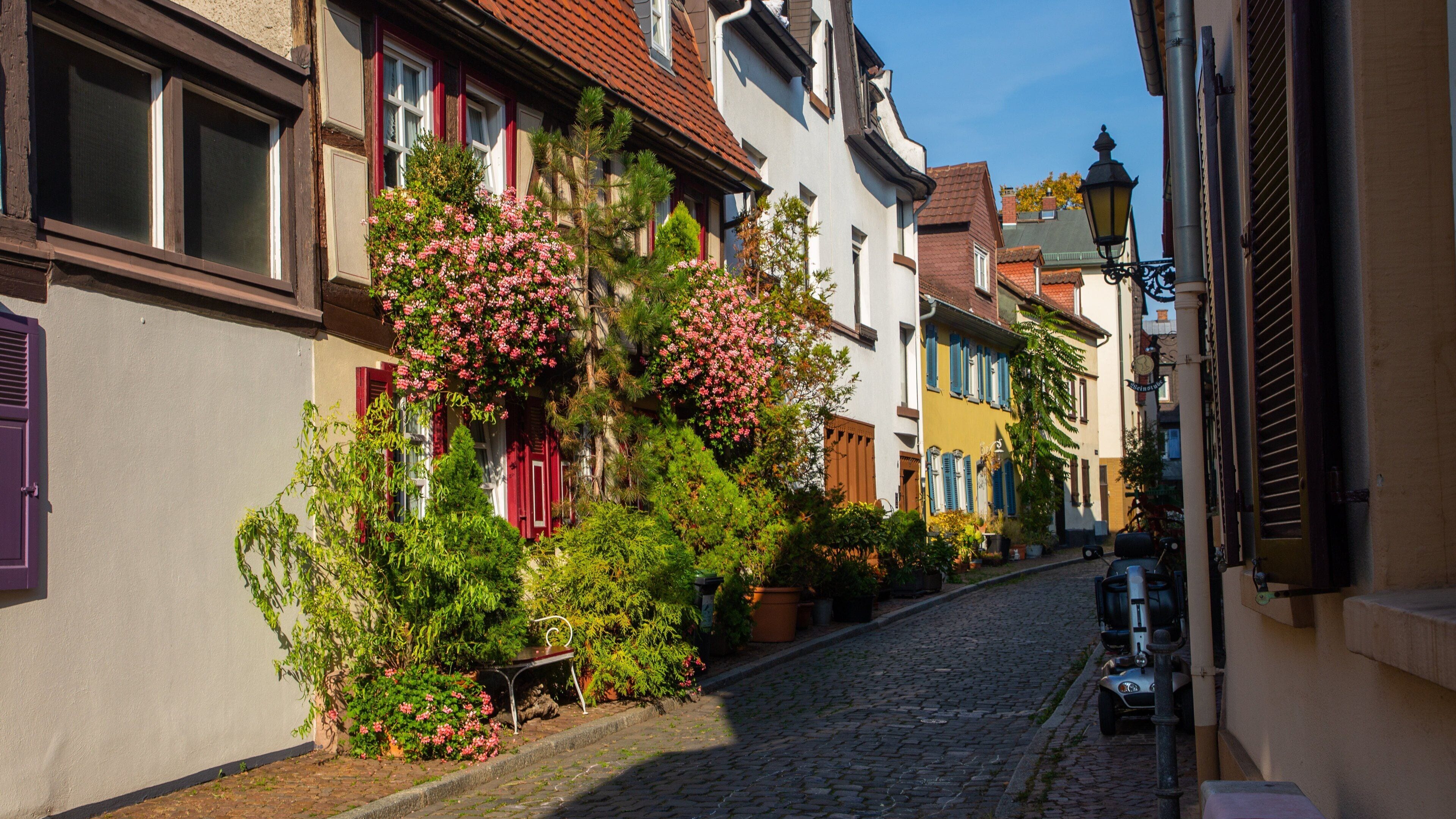 Hoechst Castle showing wildflowers