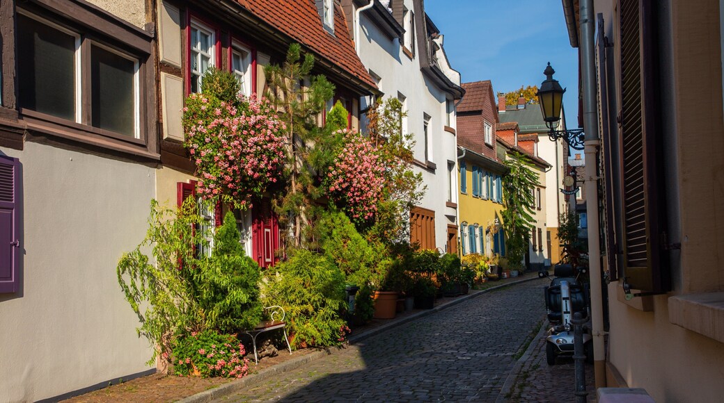 Hoechst Castle showing wildflowers