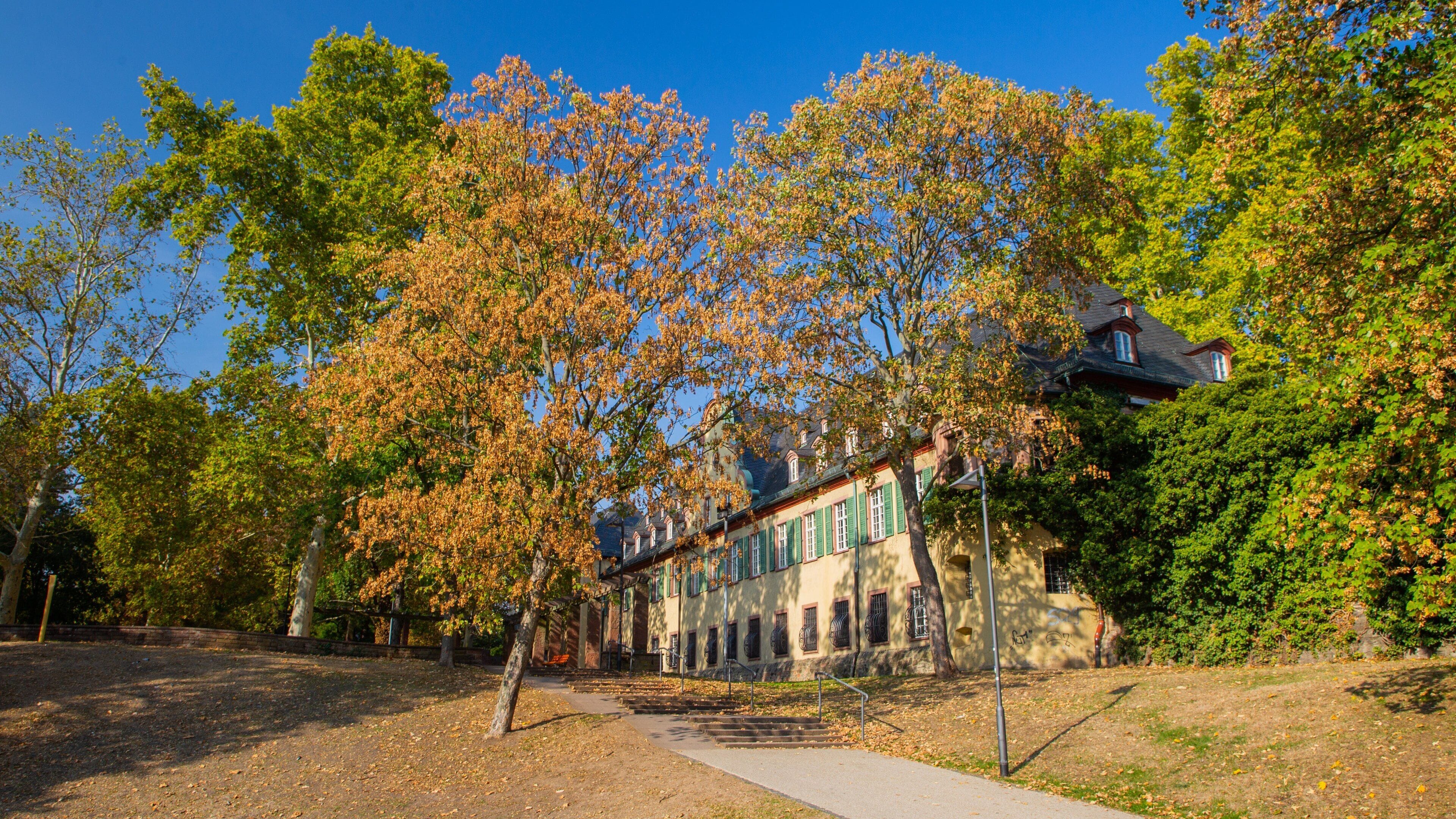 Hoechst Castle featuring a park