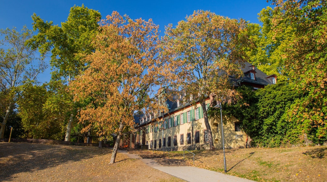 Hoechst Castle featuring a park