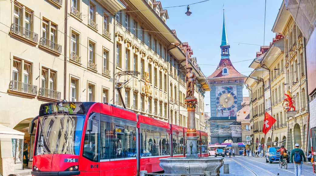 Centrale winkelbuurt