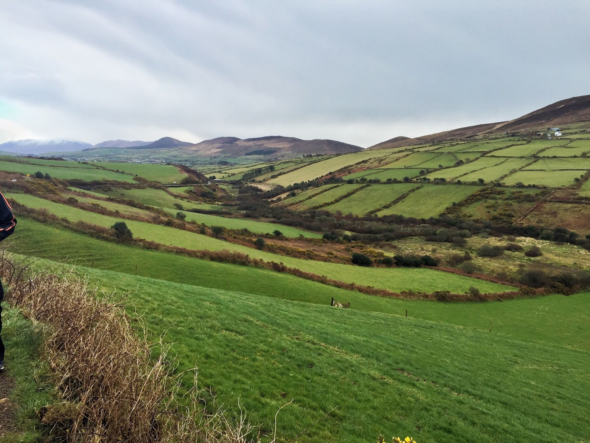 Take the tour or drive yourself along the Dingle Slea Head drive.
There are spectacular views along the way in every direction.Fourty shades of green.