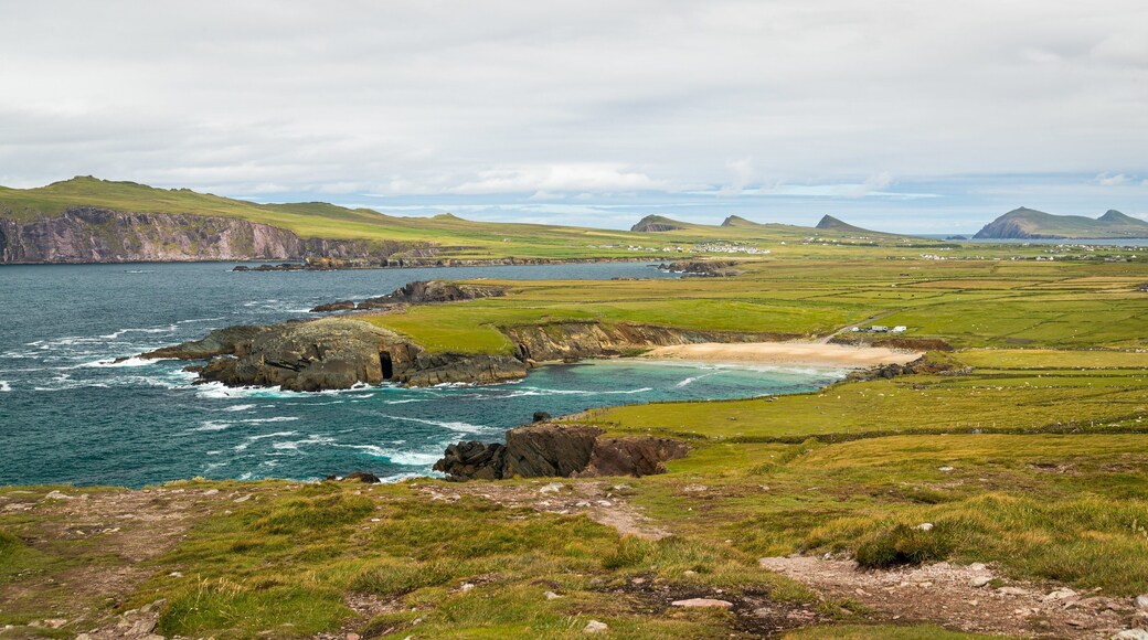 Dingle Peninsula which includes general coastal views and rugged coastline
