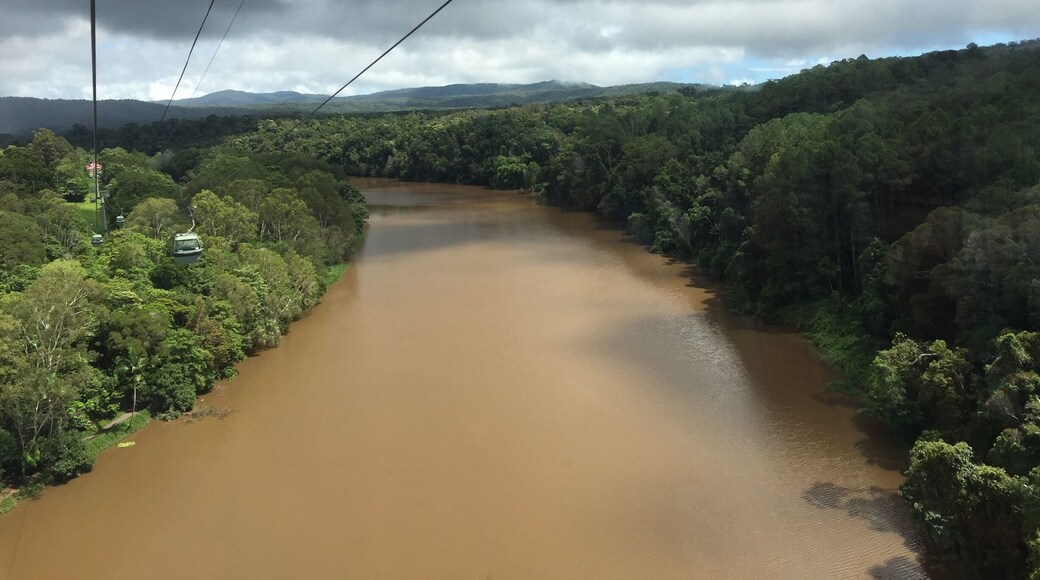 The mighty Barron River viewed from the Skyrail!