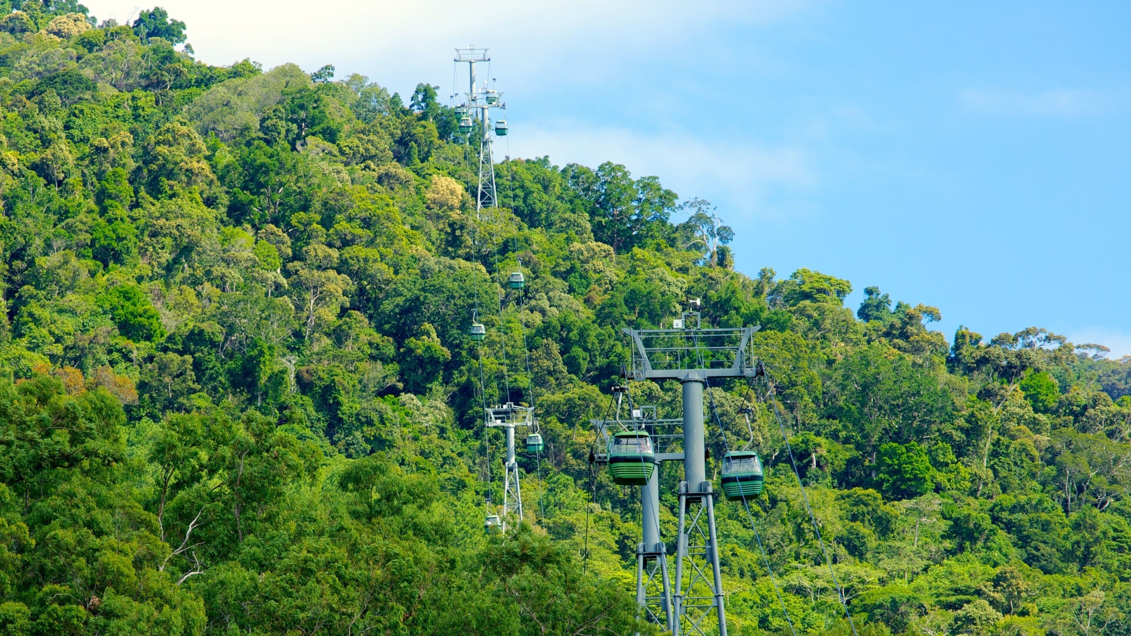 A cable car system on a lush green mountain.