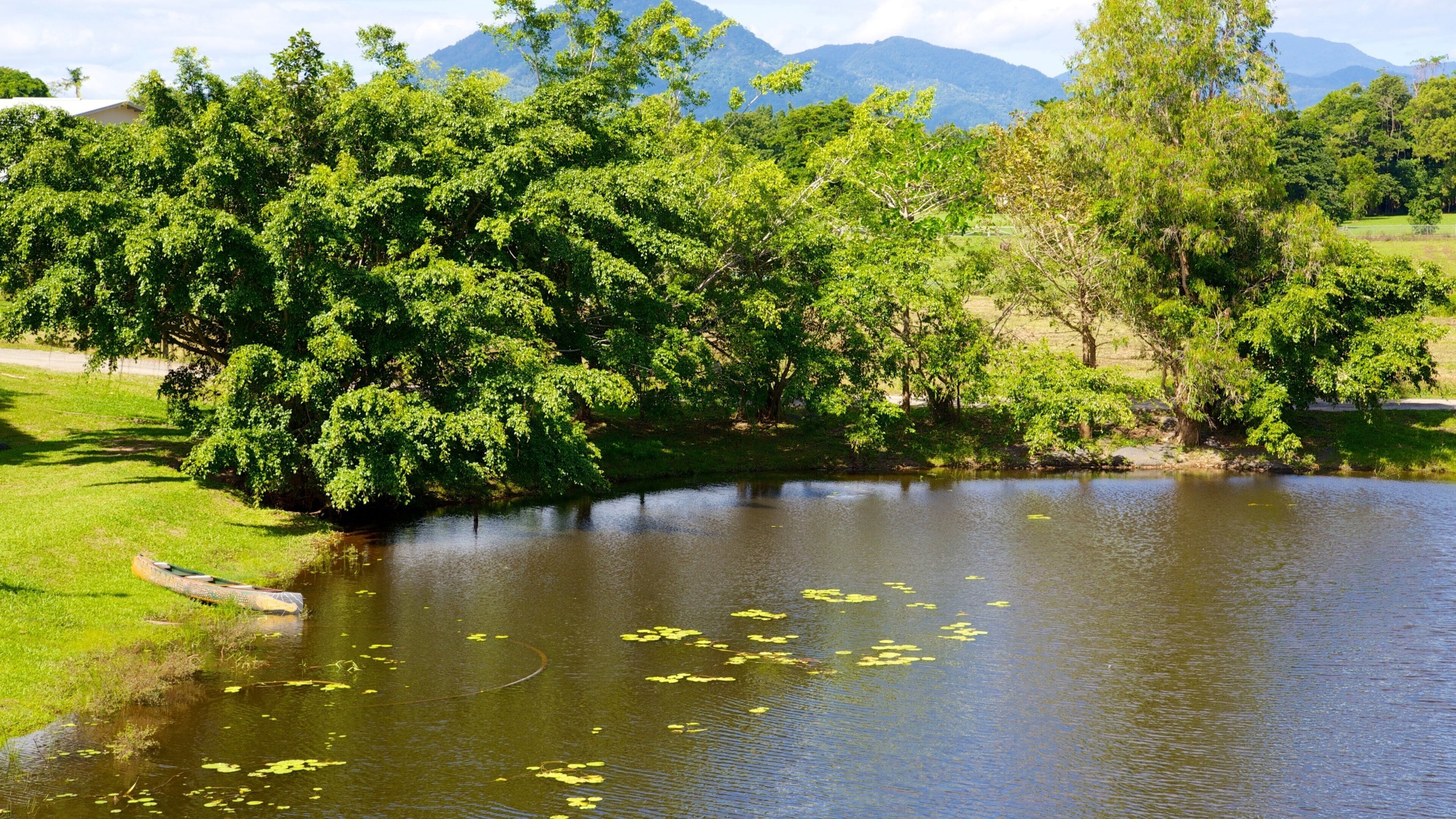 Cairns som viser en dam og en have