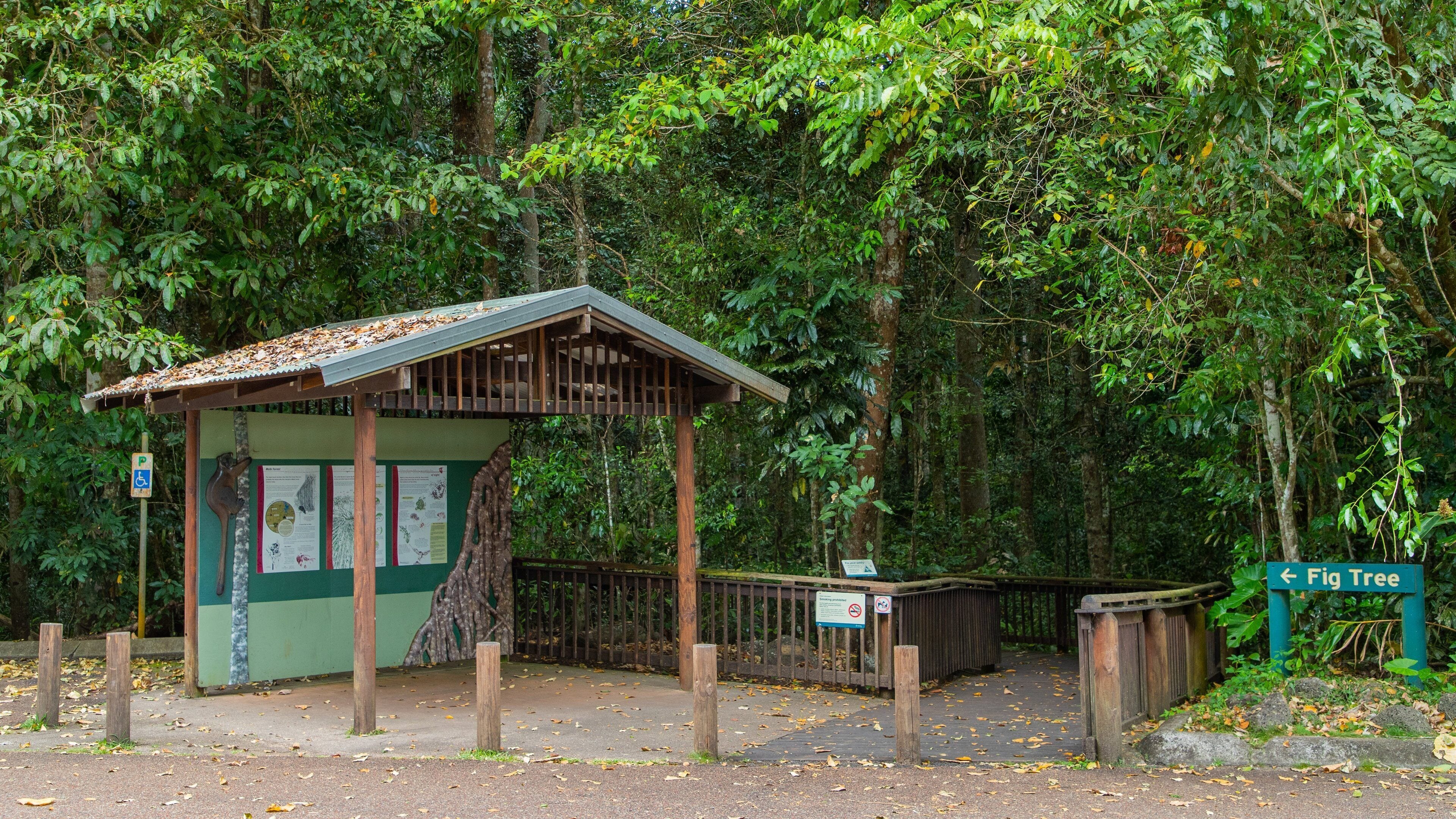 Curtain Fig National Park showing signage, forest scenes and a park
