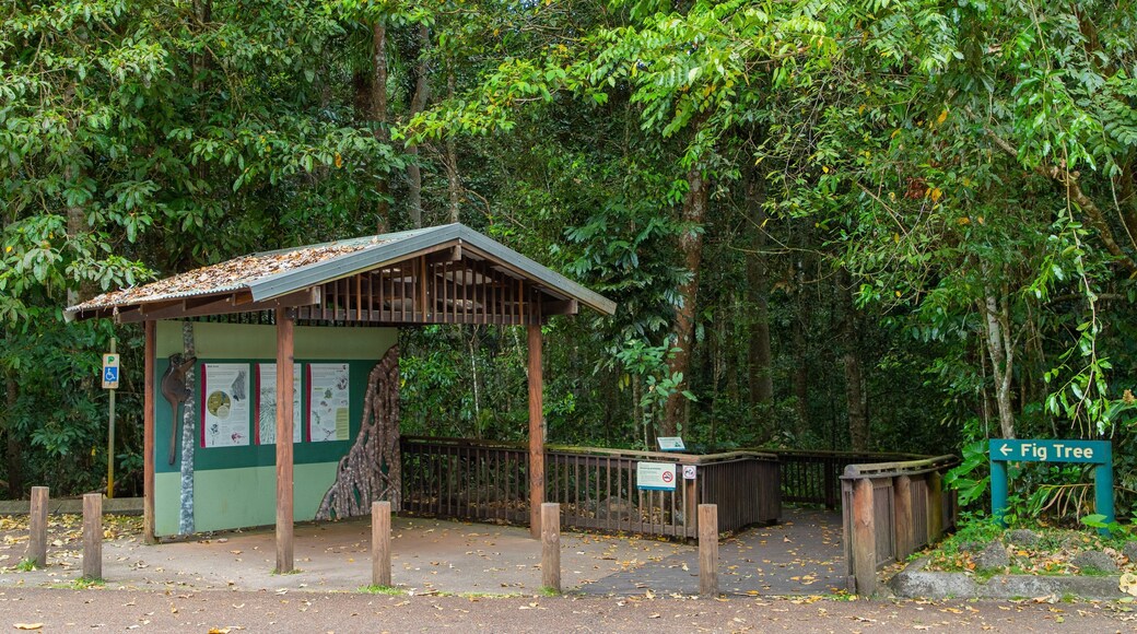 Curtain Fig National Park showing signage, forest scenes and a park