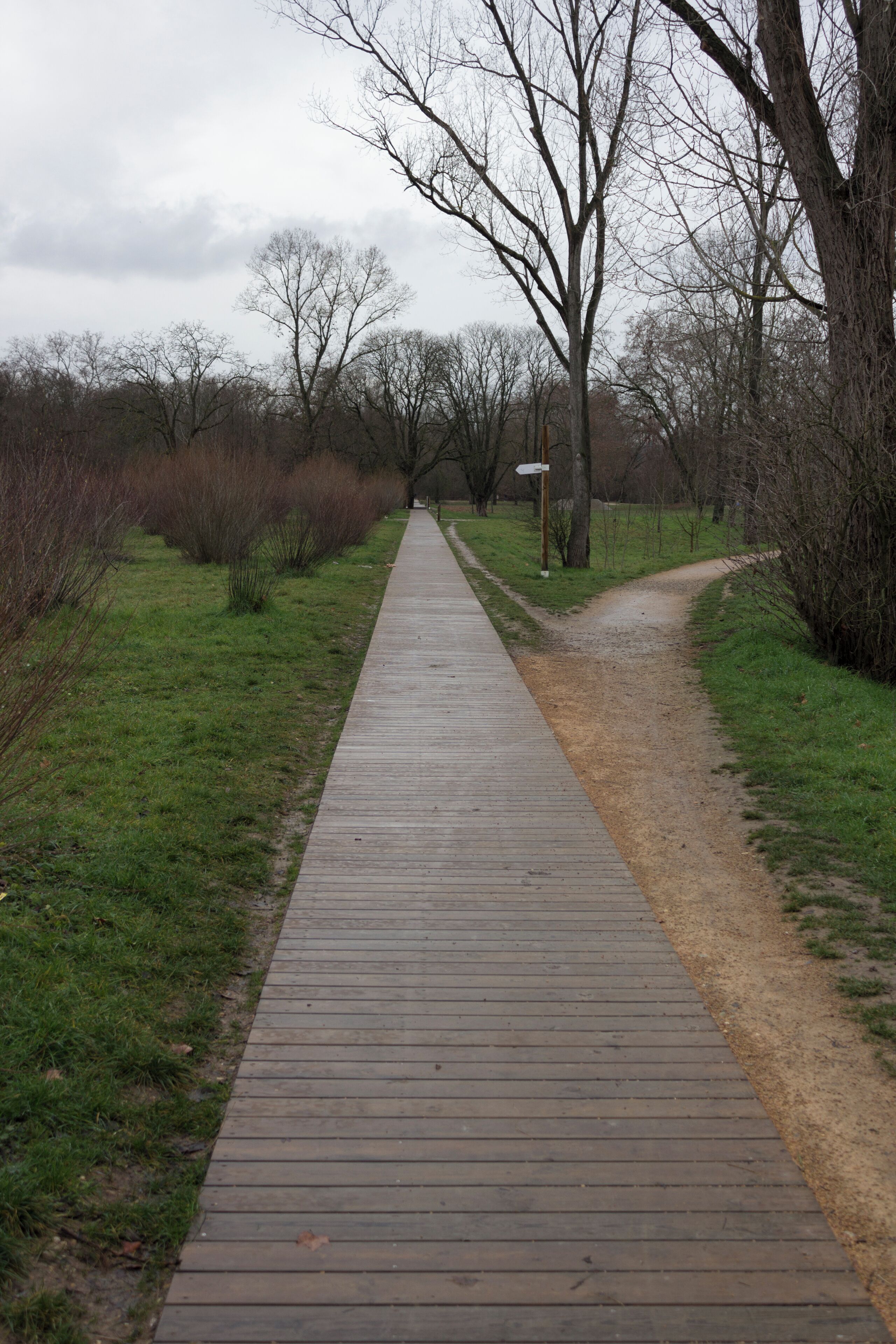 Villeurbanne - Parc de la Feyssine - Platelage bois