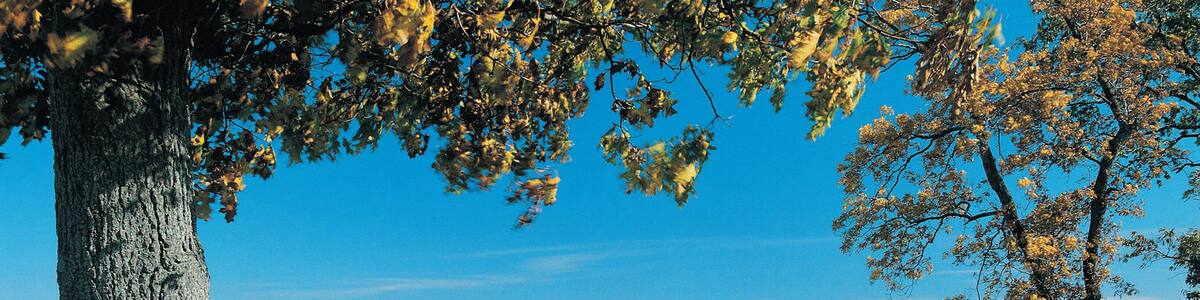The Mississippi River near Hannibal, Missouri, USA