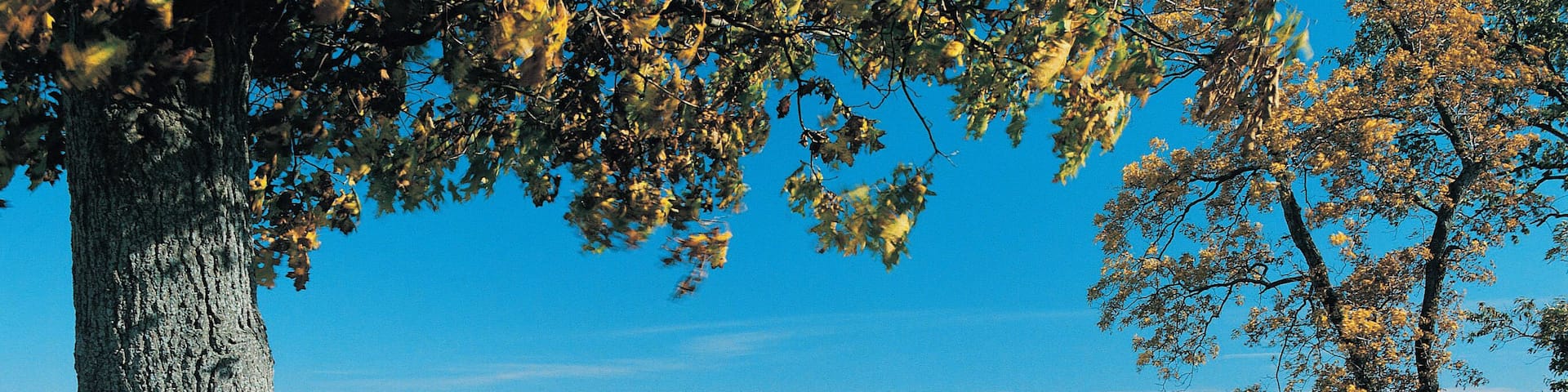 The Mississippi River near Hannibal, Missouri, USA