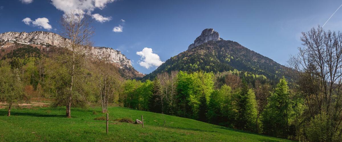 A mountainous landscape with green fields, trees, and rocky cliffs.