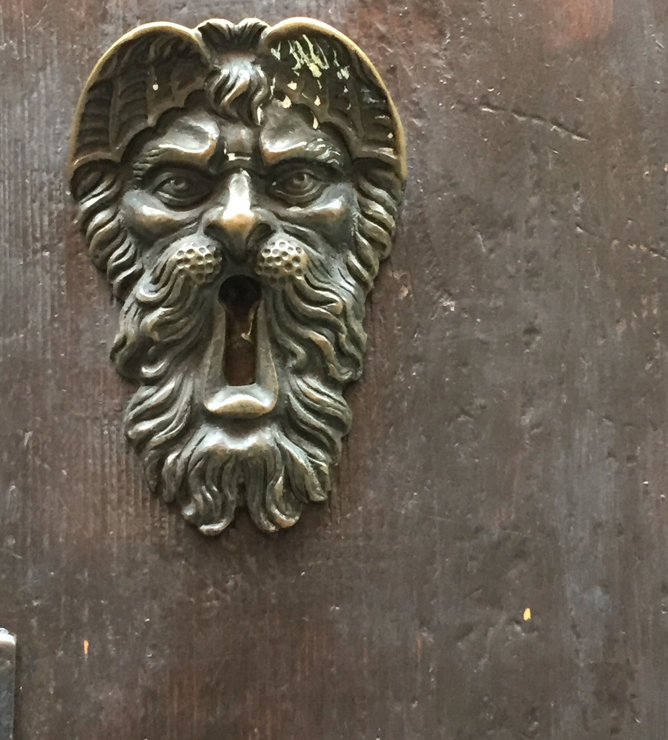 “Feed me!!”, said the hungry lion. Always look at doors in Italy. #details
