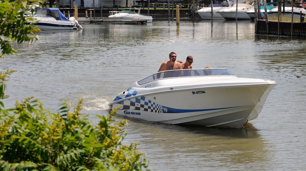 Southern Ontario featuring boating and a bay or harbor as well as a small group of people