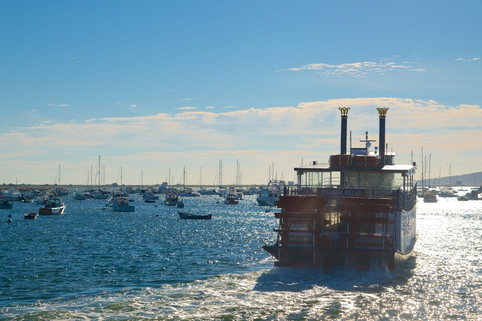 A harbor with multiple sailboats and a prominent ship named 'PILGRIM BELLE'.