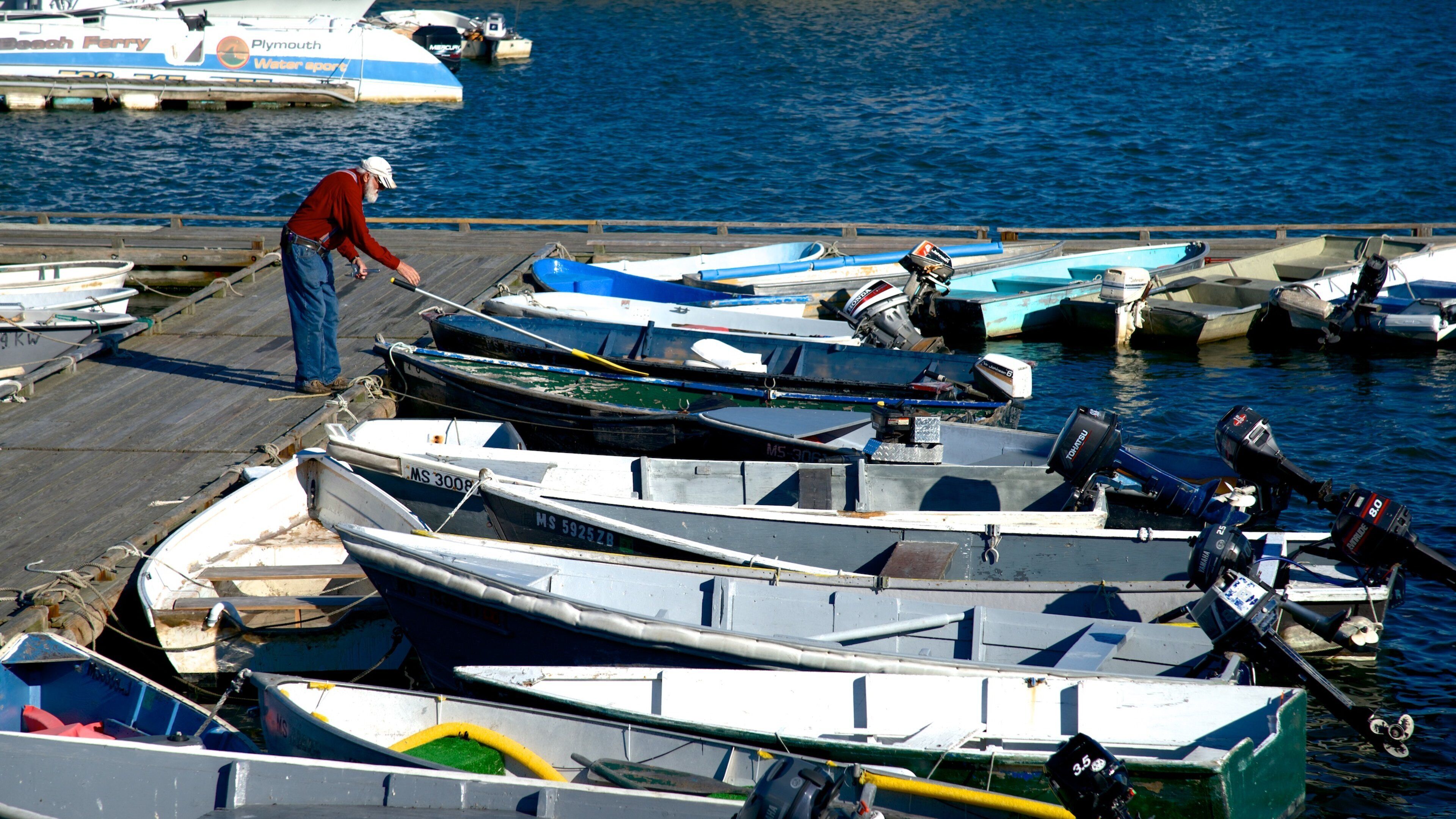 Plymouth Harbor som omfatter en bugt eller havn såvel som en mand