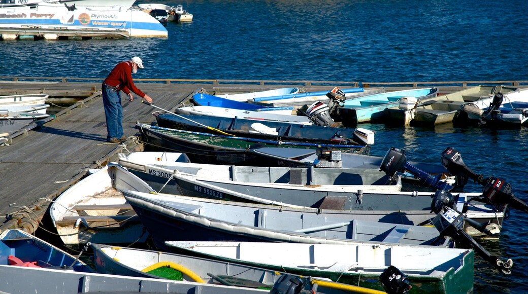 Plymouth Harbor som omfatter en bugt eller havn såvel som en mand