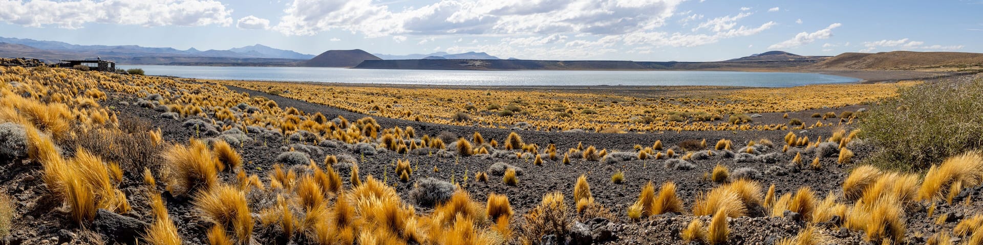 National Park Laguna Blanca in Neuquén, Argentina - Traveling South America - Panorama