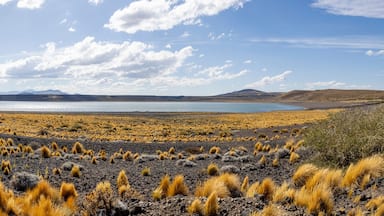 National Park Laguna Blanca in Neuquén, Argentina - Traveling South America - Panorama
