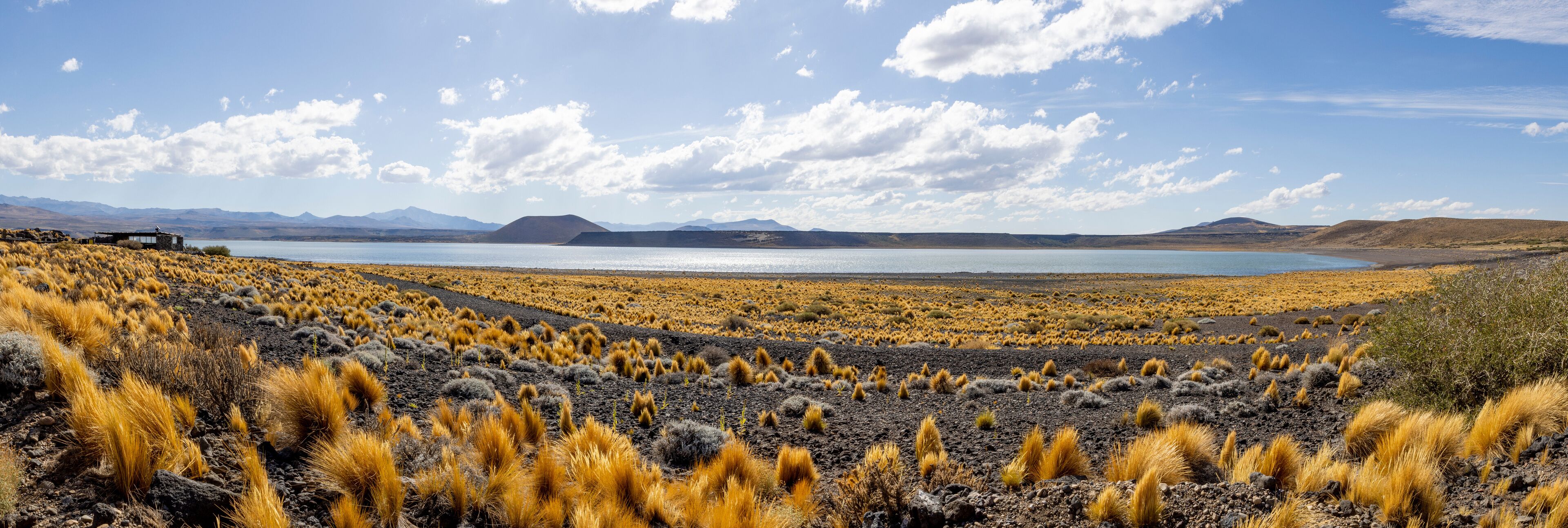 A vast landscape with a lake, mountains, and sparse yellow grass.