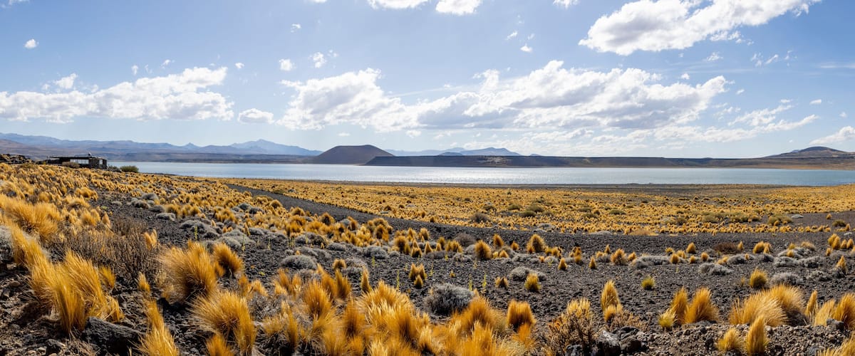 A vast landscape with a lake, mountains, and sparse yellow grass.