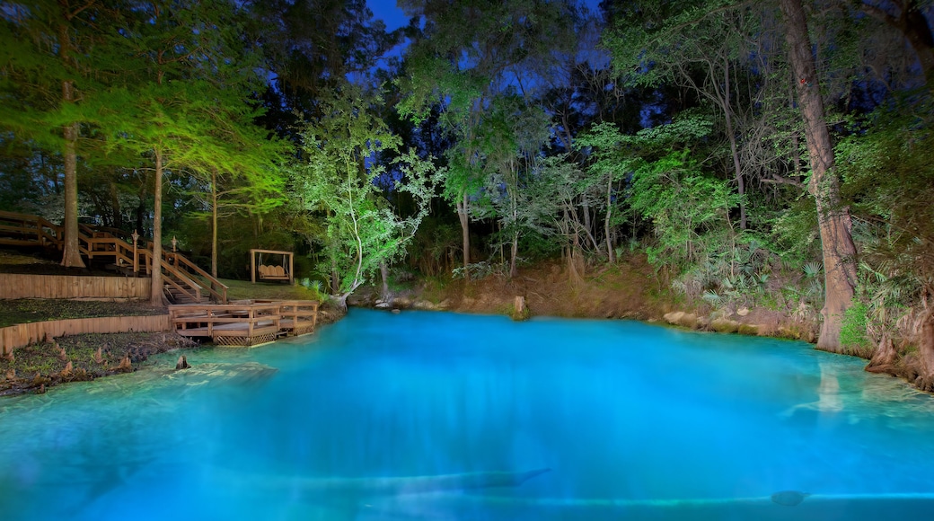 Morgan Spring Illuminated at Night on the Withlacoochee River in Florida