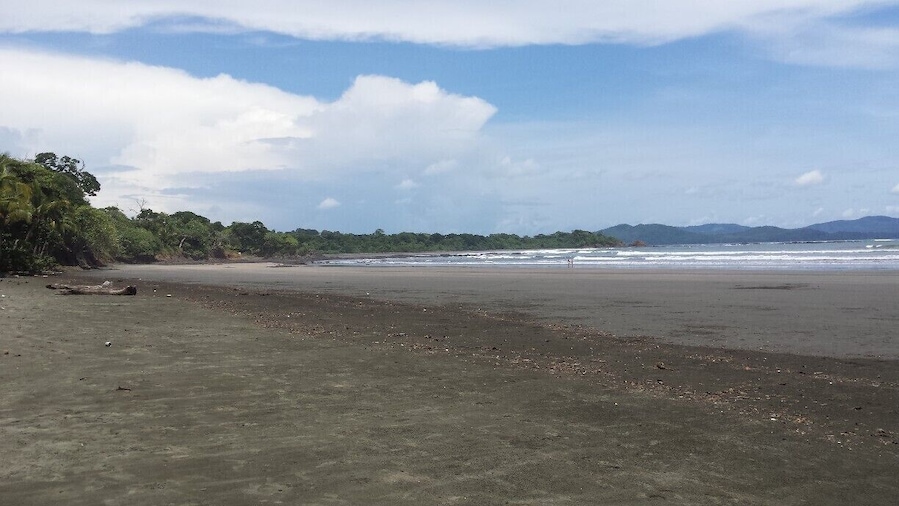 This is a great beach for surfers.
you definitely have to do a tour to Isla Coiba! You can go snorkeling (or diving) there and see all kinds of animals (sharks, turtles, manta rays, a lot of fish and corals,...). We also saw dolphins and between July and October there are humpback whales in this area.
We did the tour with "Watching Dolphins" and were extremely happy with our choice.