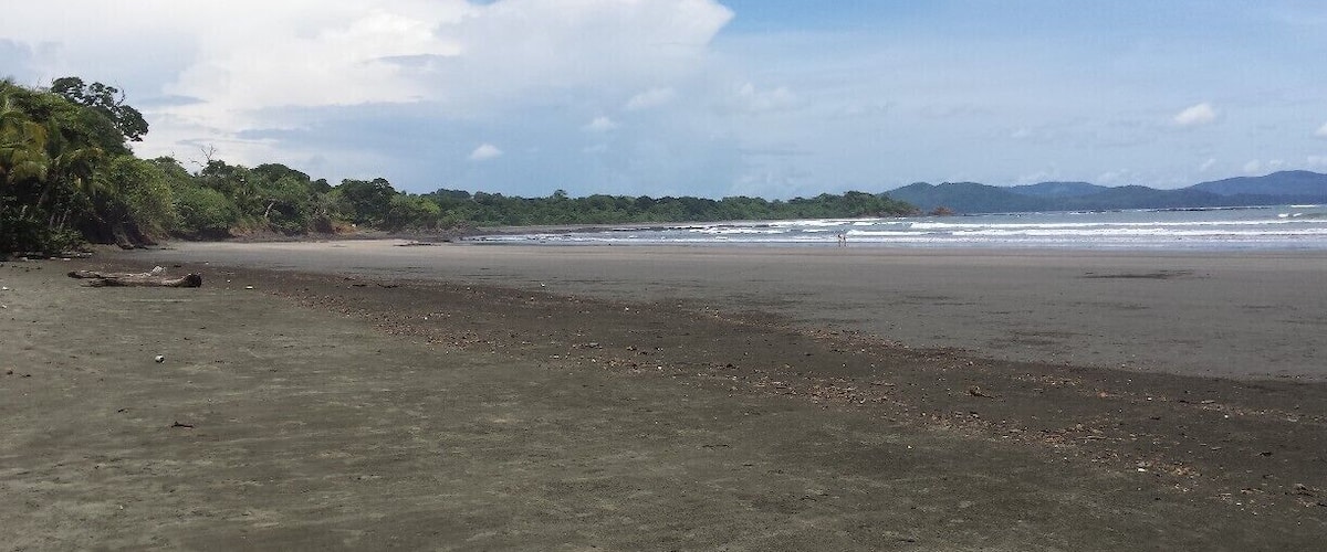 This is a great beach for surfers.
you definitely have to do a tour to Isla Coiba! You can go snorkeling (or diving) there and see all kinds of animals (sharks, turtles, manta rays, a lot of fish and corals,...). We also saw dolphins and between July and October there are humpback whales in this area.
We did the tour with "Watching Dolphins" and were extremely happy with our choice.