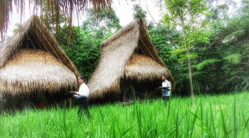 Oh yeah ... Here comes the waitresses with my lunch 😋🍴