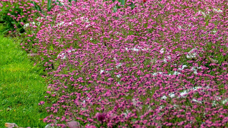 ノーベル パーク